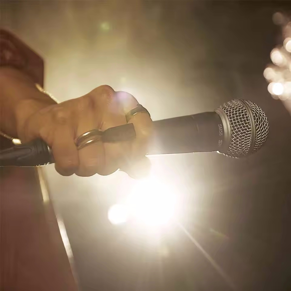 Microphone dynamique filaire p - Pc Gaming Live Streaming avis et prix